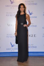 Lisa Haydon at Grey Goose India Fly Beyond Awards in Grand Hyatt, Mumbai on 16th Nov 2014